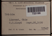 Image Associated With the Occurence